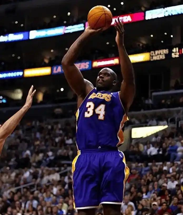 预计将采用 预计将采用