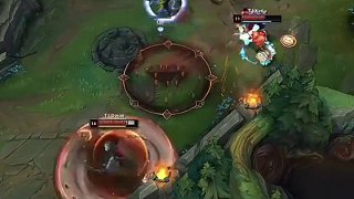 摸的日常 摸的日常